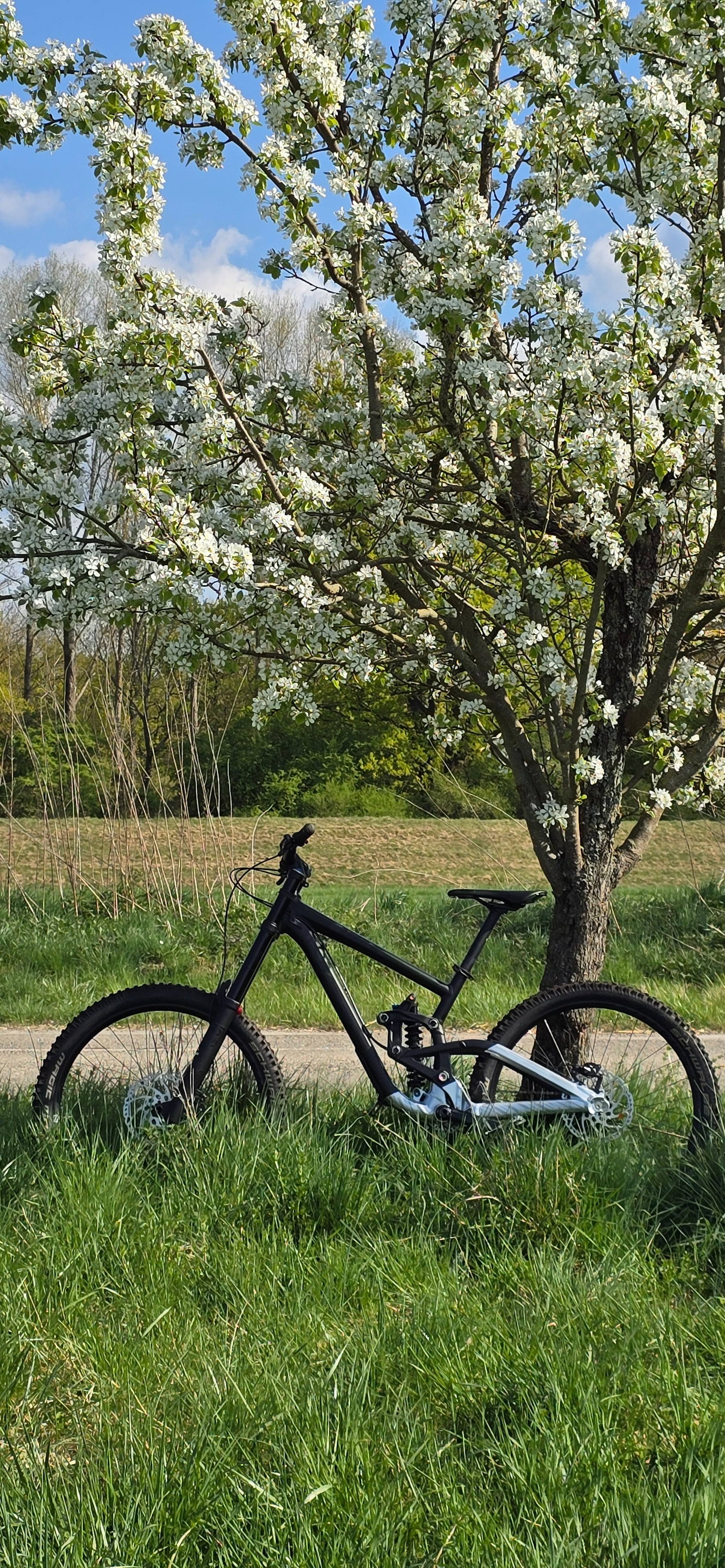 Scott Gambler 720 2018