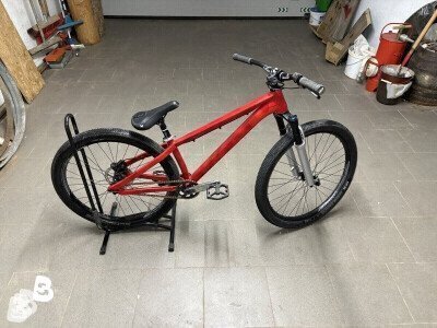 Rose THE BRUCE 2 2022