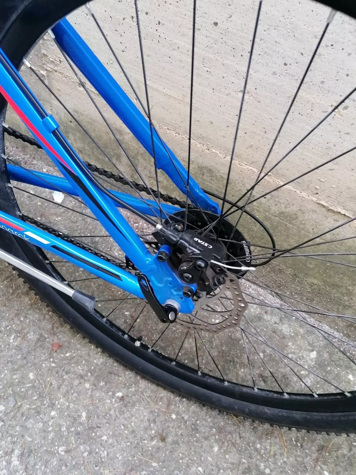 Adriatica WING RCK 29