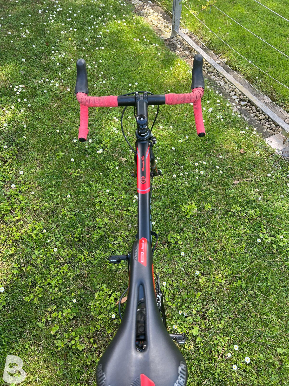 Olmo Zerocinque 2017