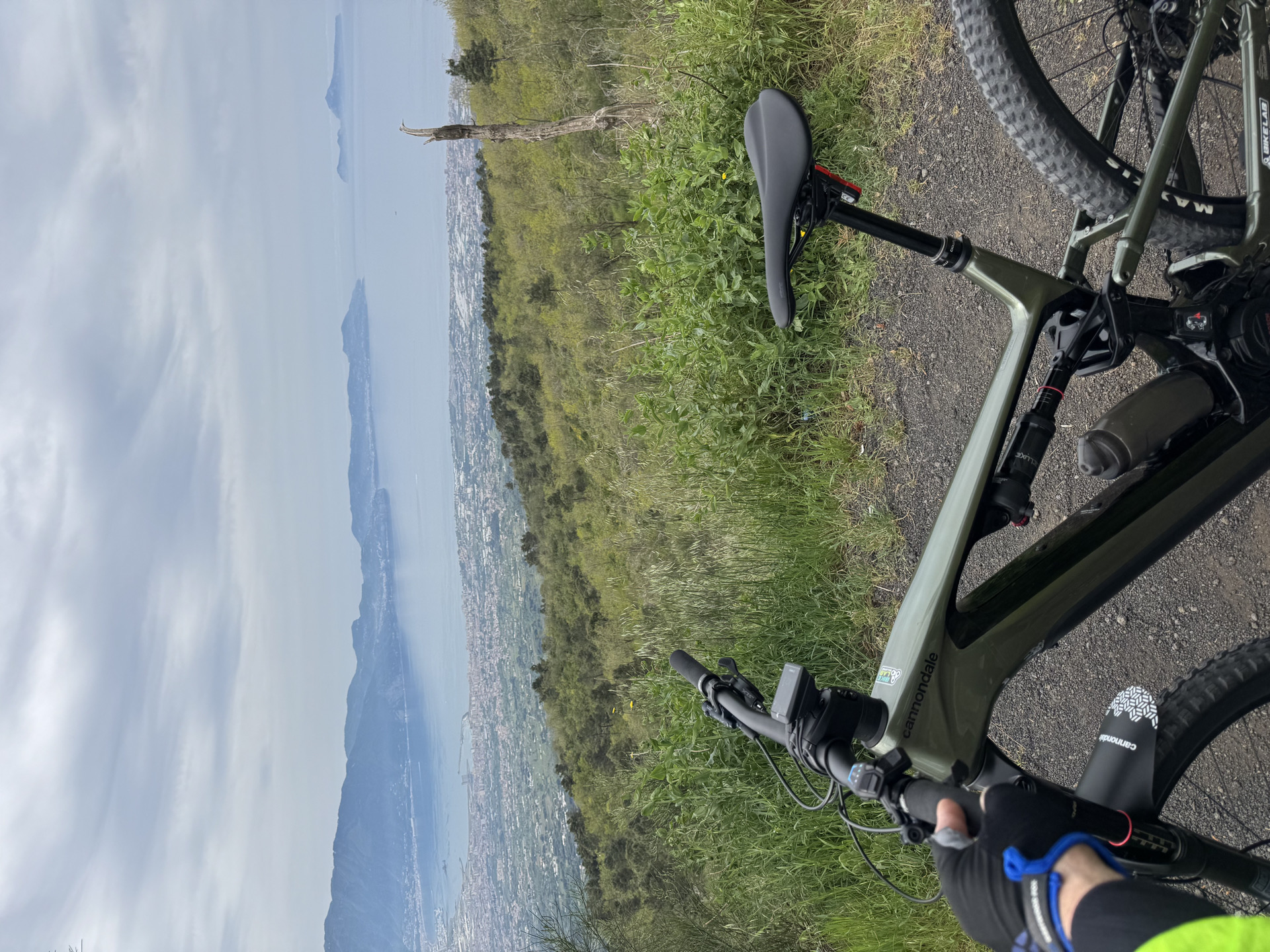 Cannondale Moterra Neo Carbon 2 E-Bike 2023