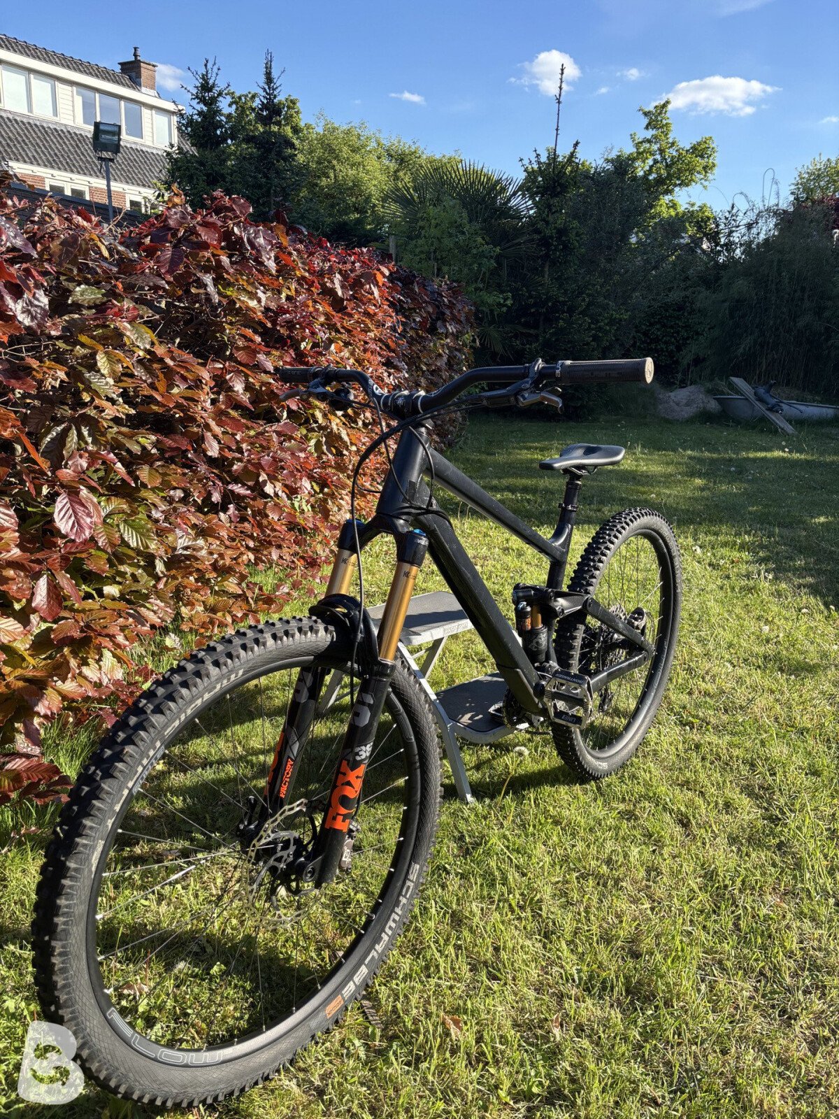 RAAW Jibb 2021
