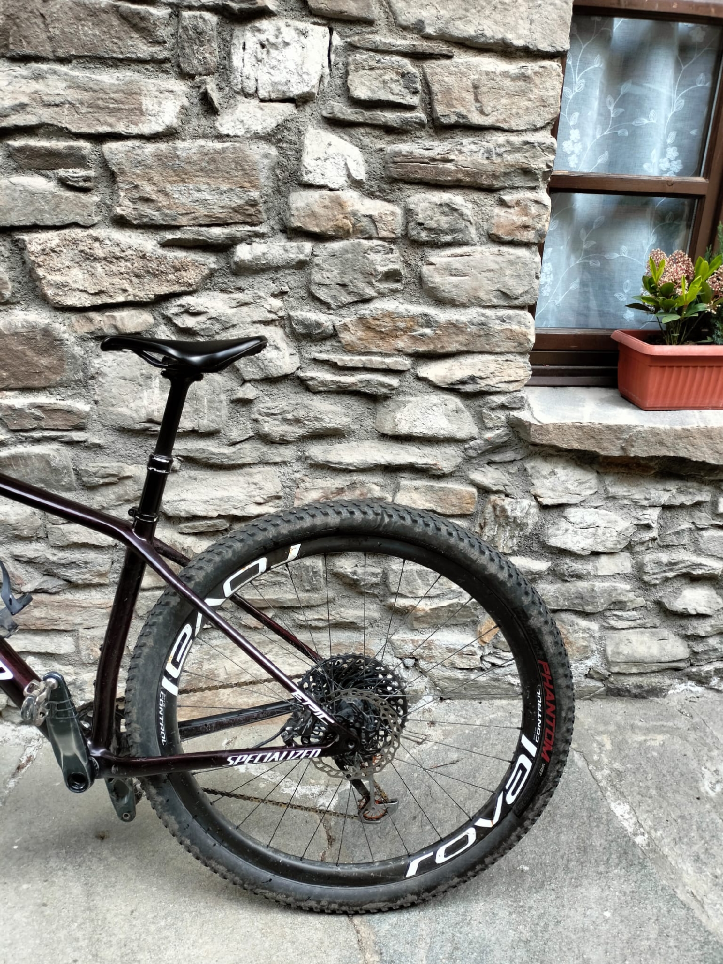 Specialized Epic Hardtail Expert 2021