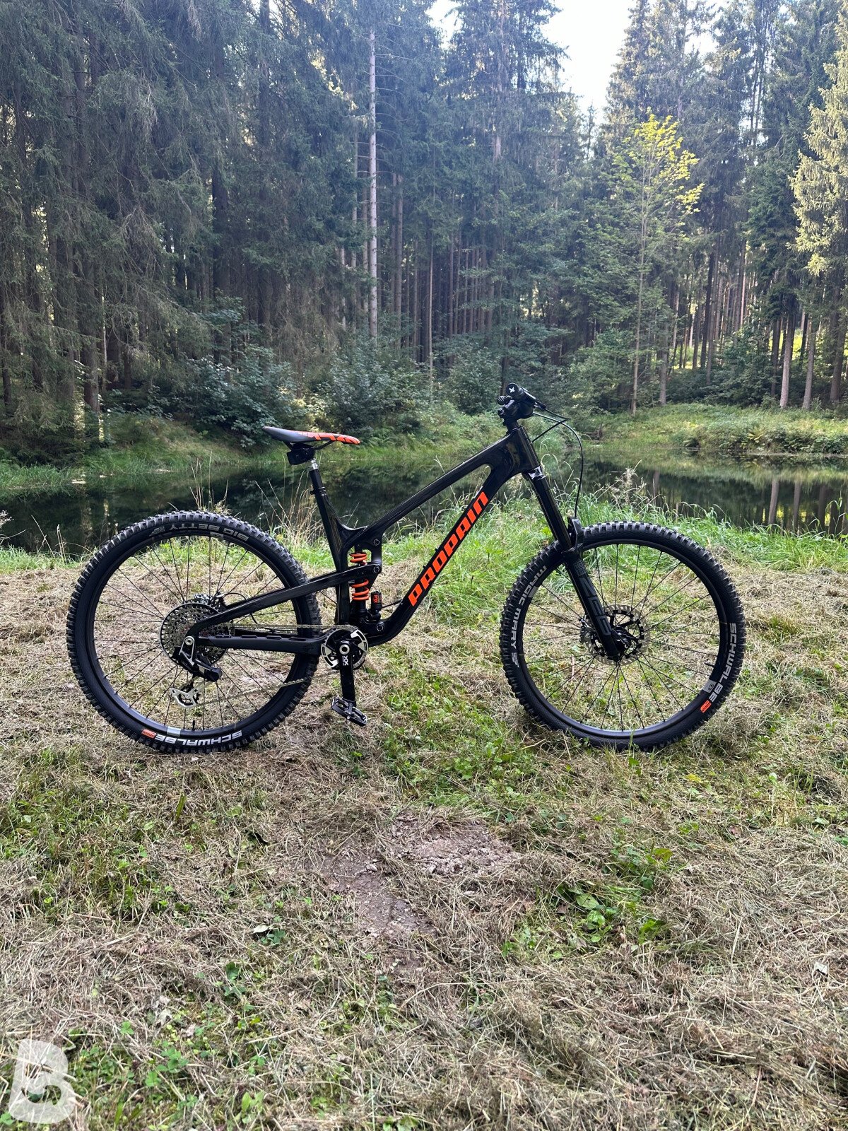 Propain Spindrift CF High End 2023