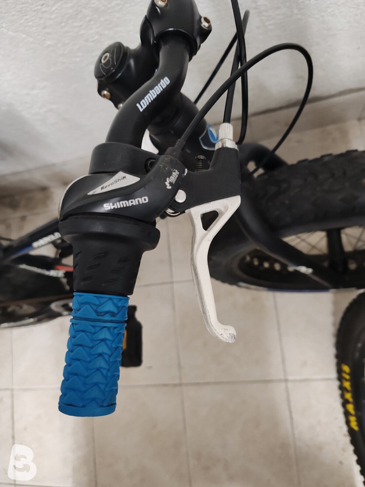 Lombardo Fat Bike 2021