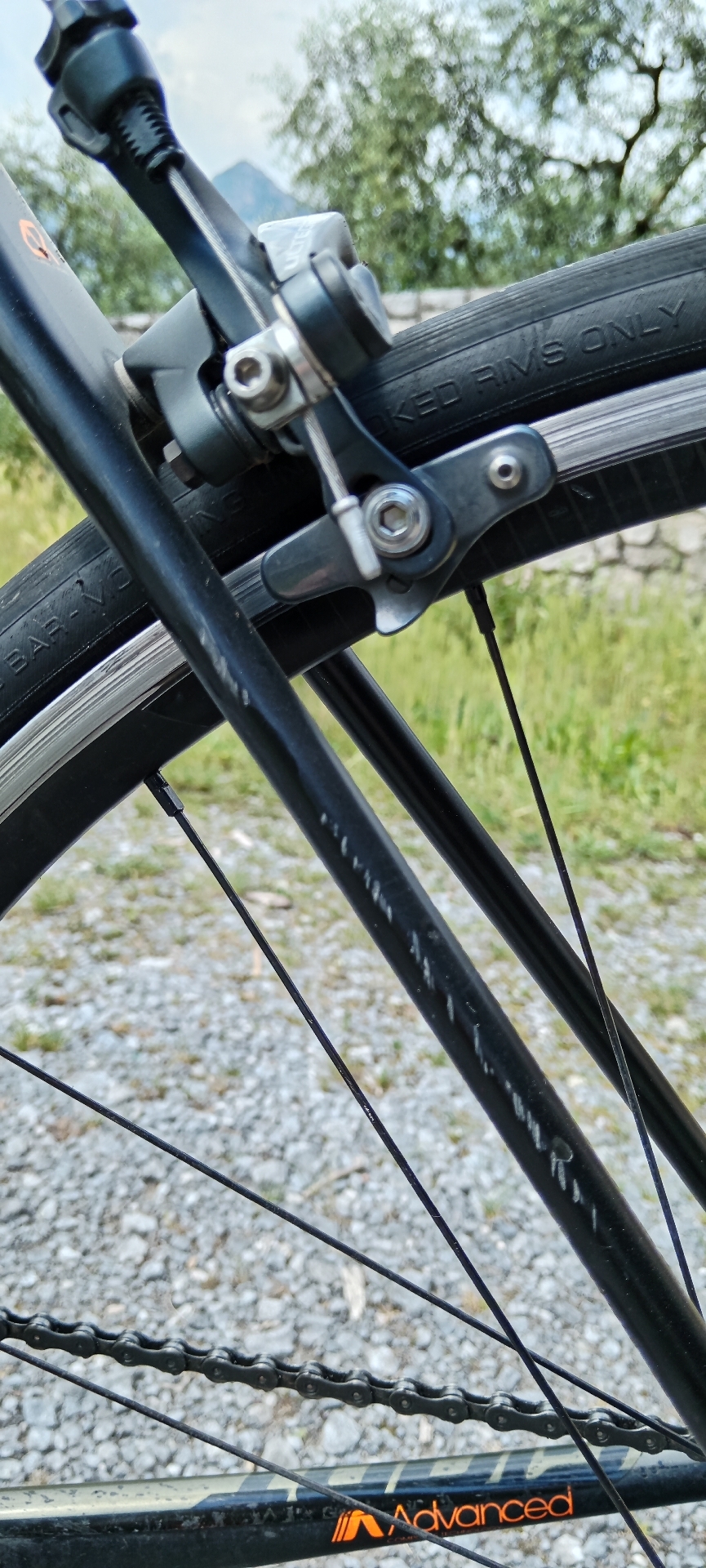 Giant TCR Advanced 2 2019