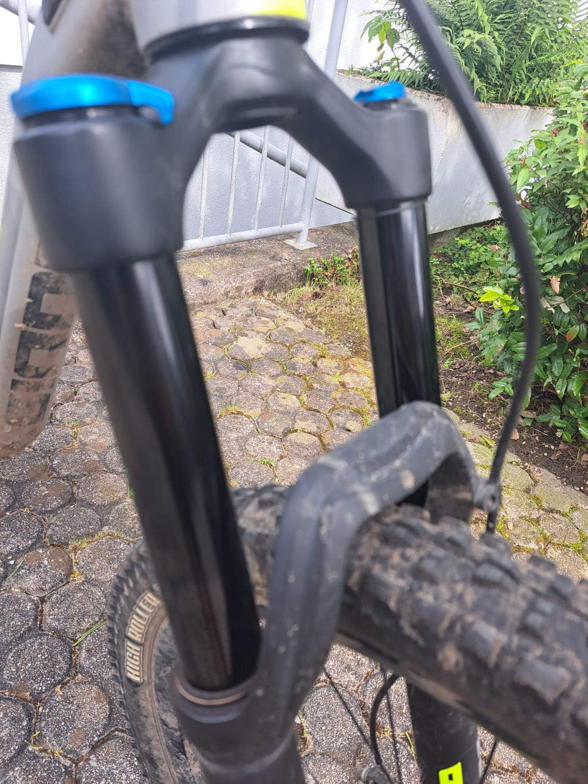 Giant Trance 2 2018