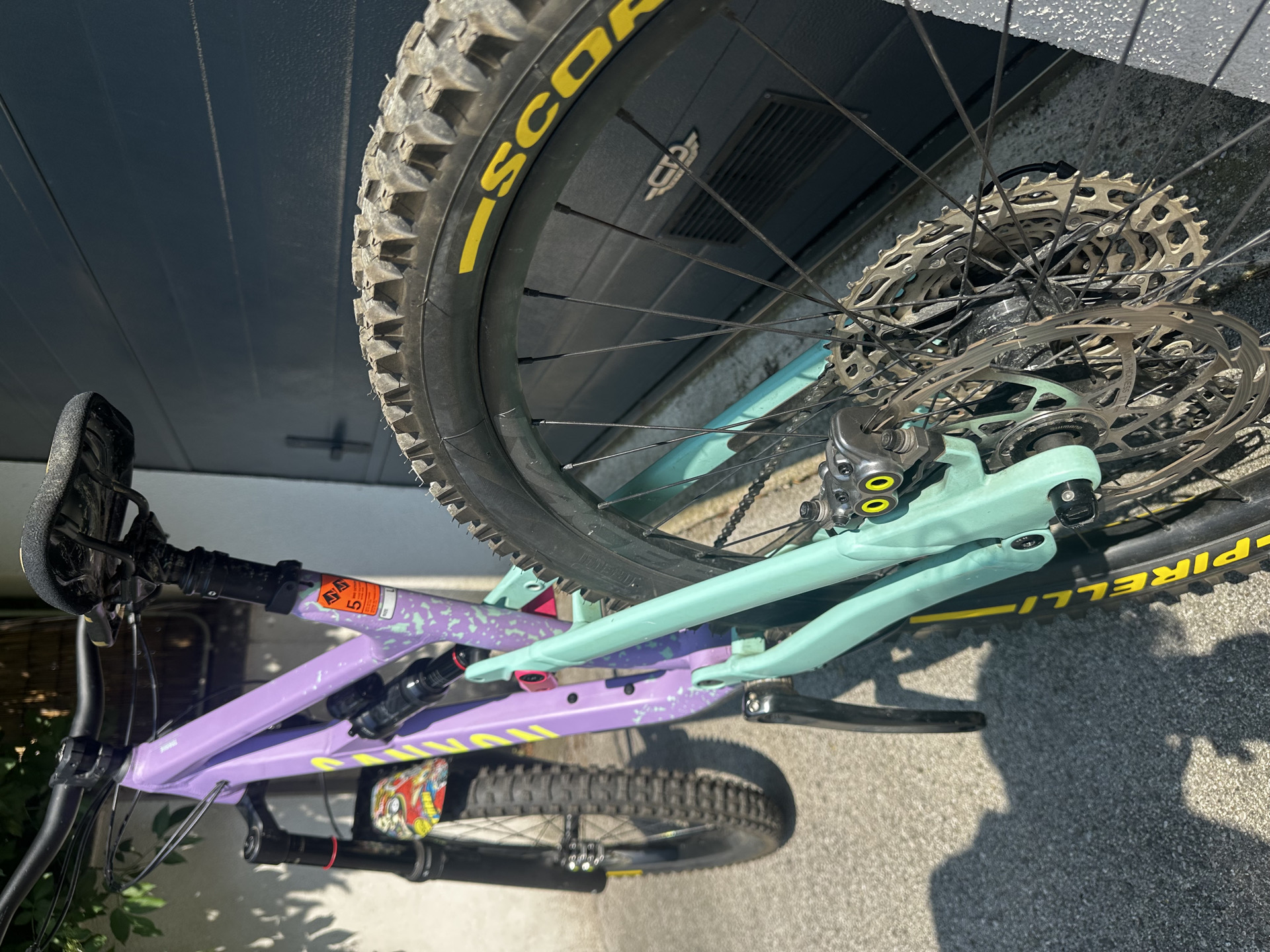 Canyon Torque AL 5.0 2023