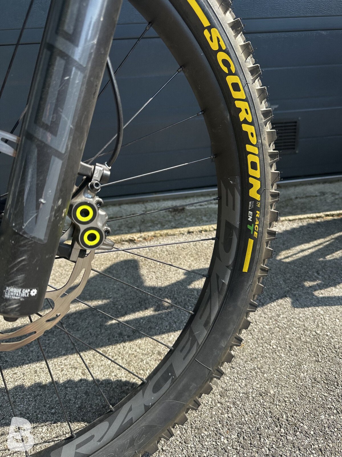Canyon Torque AL 5.0 2023