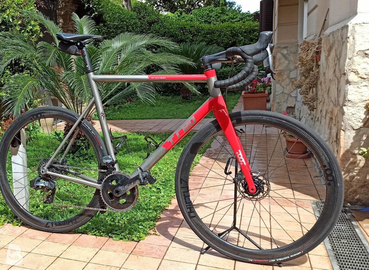 T-red Aracnide 2021