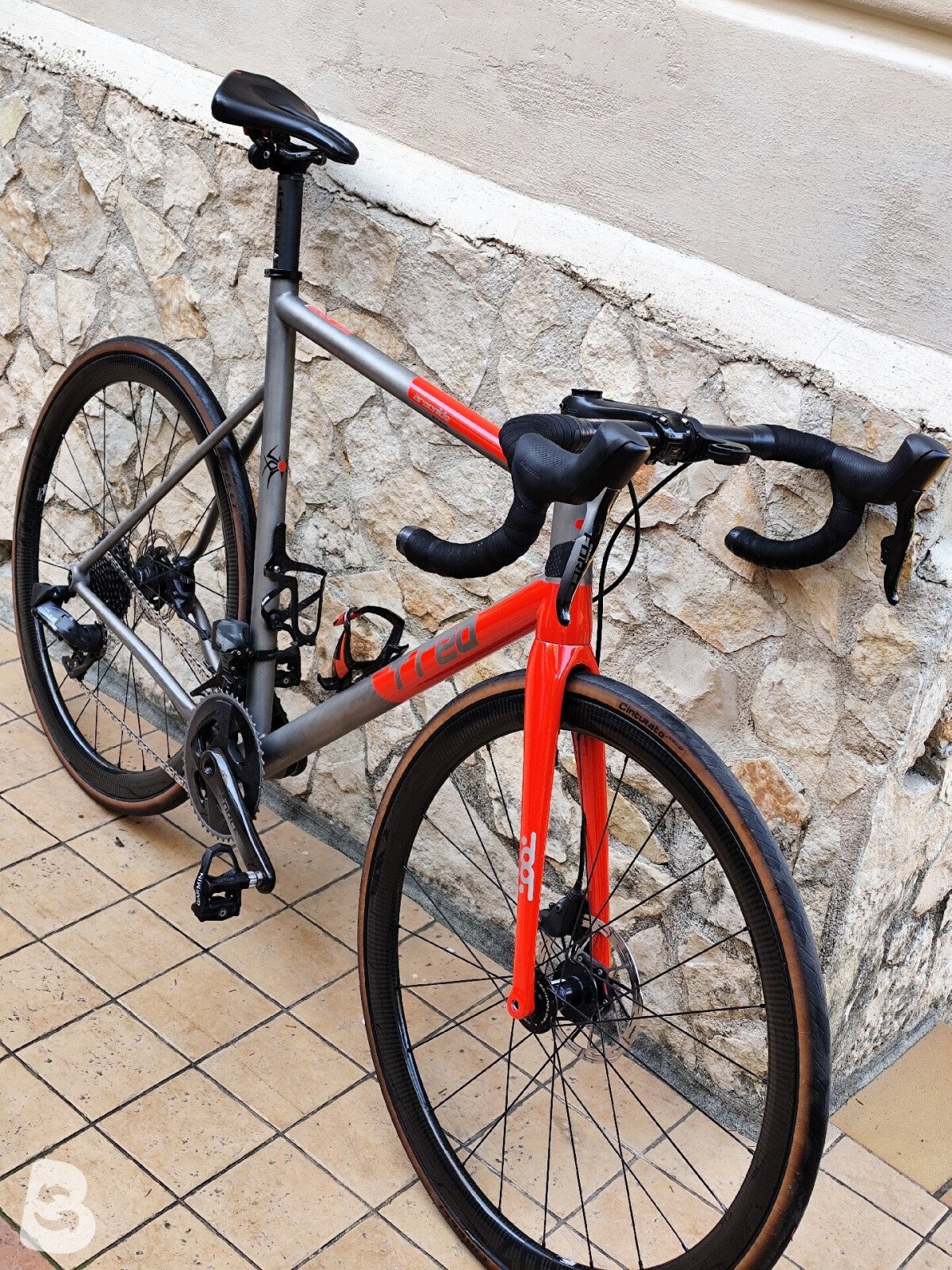 T-red Aracnide 2021