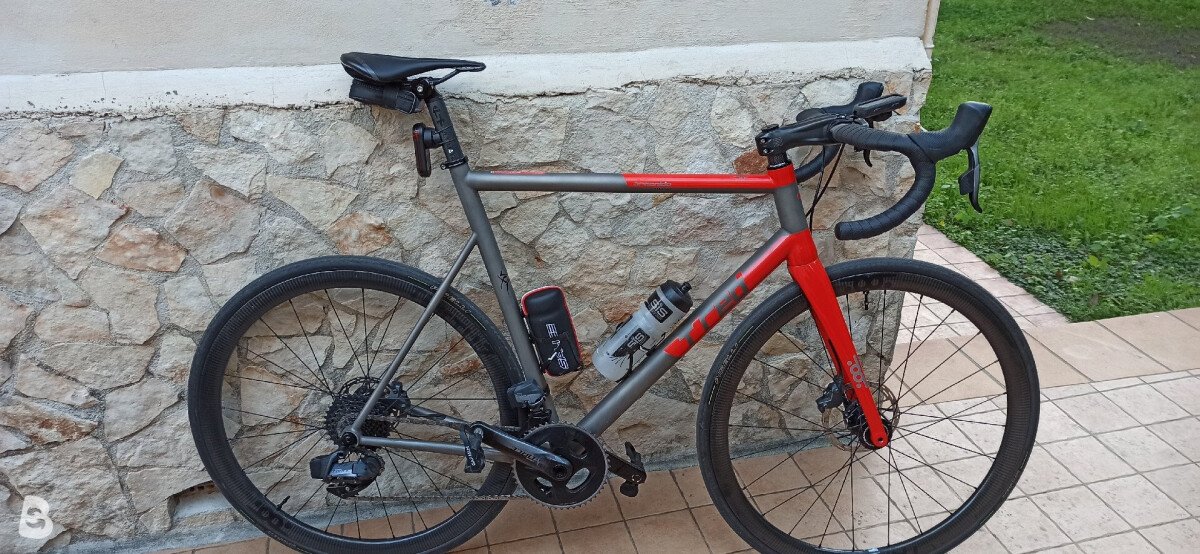 T-red Aracnide 2021