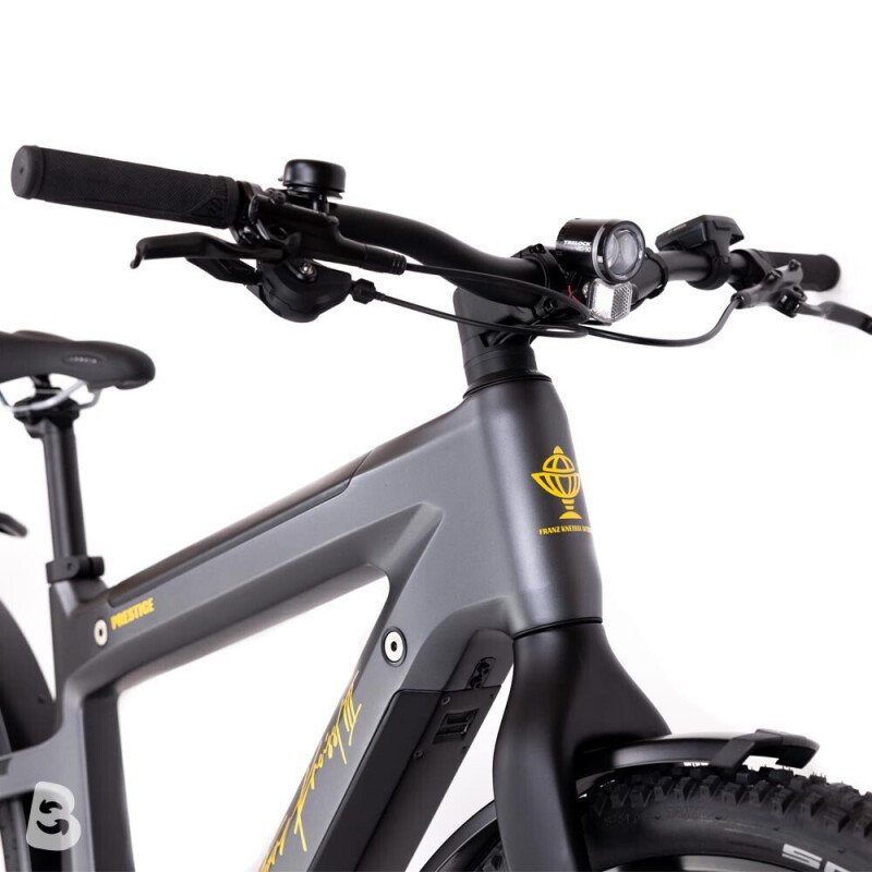 Franz Kneissl Carbon Urban Prestige 2022