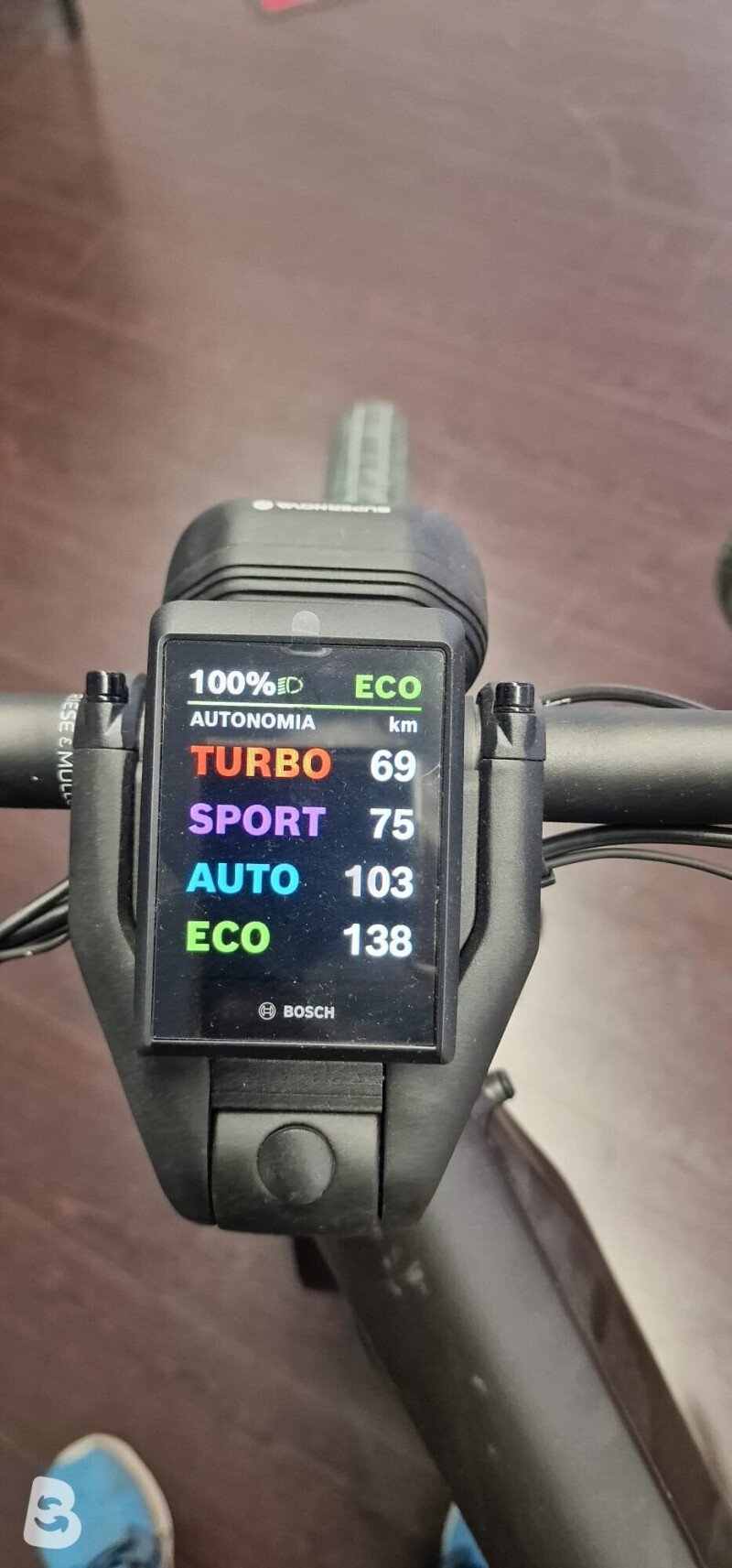 Riese & Müller Delite GT Touring 2025