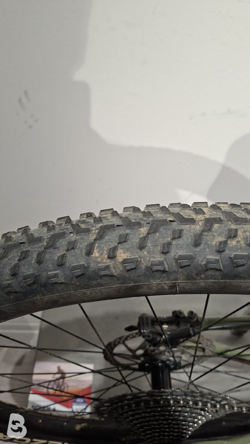 Saracen Zenith Elite LSL 2021