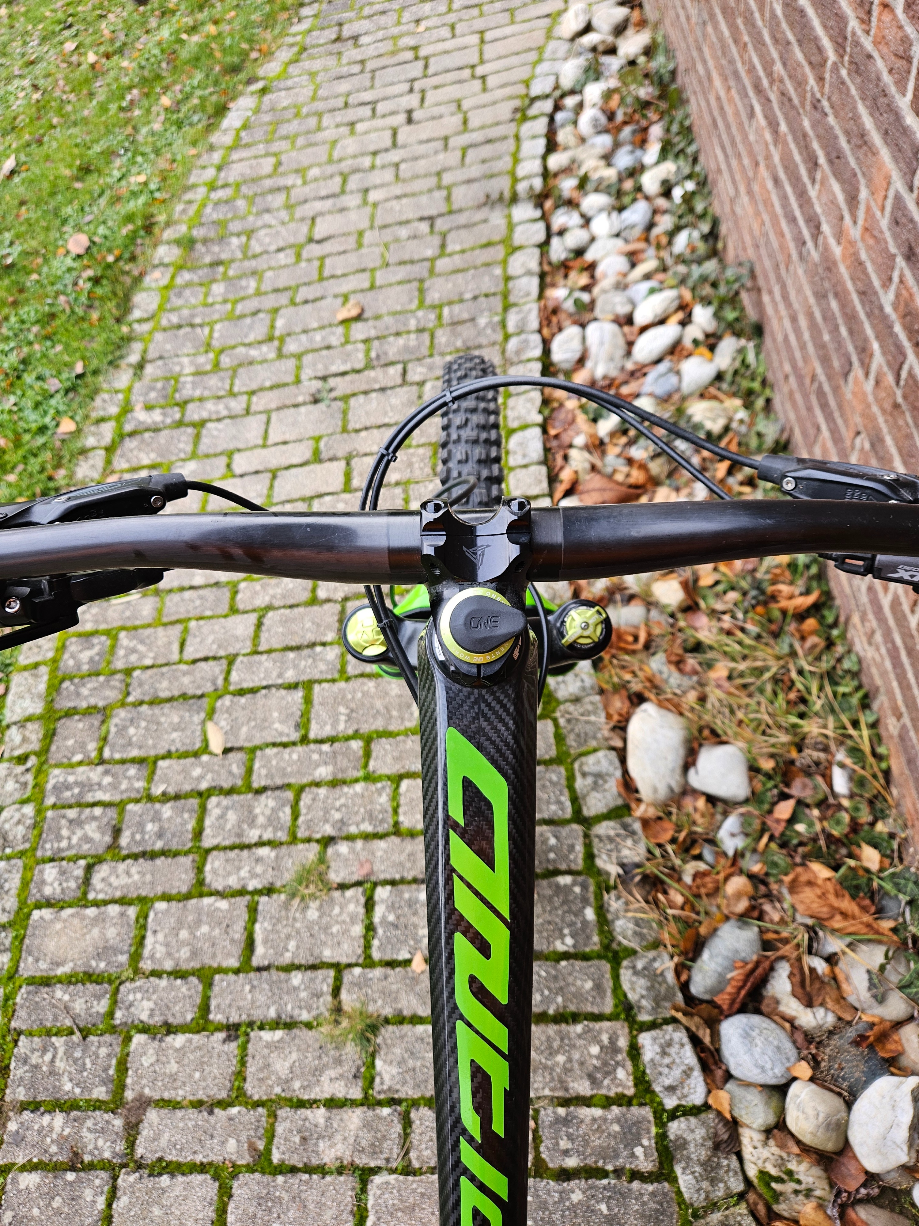 Antidote Bikes Carbonjack 2020