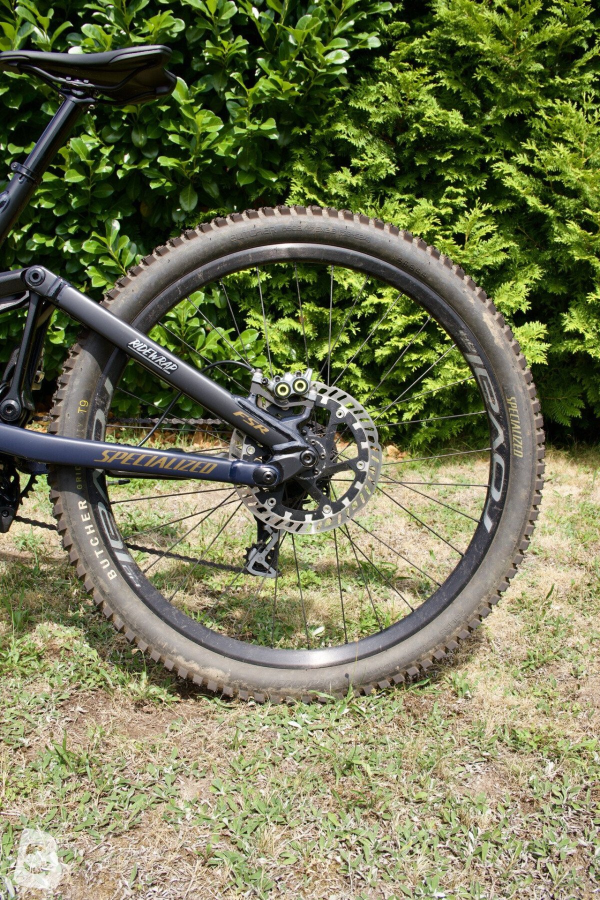 Specialized Demo Expert 2024