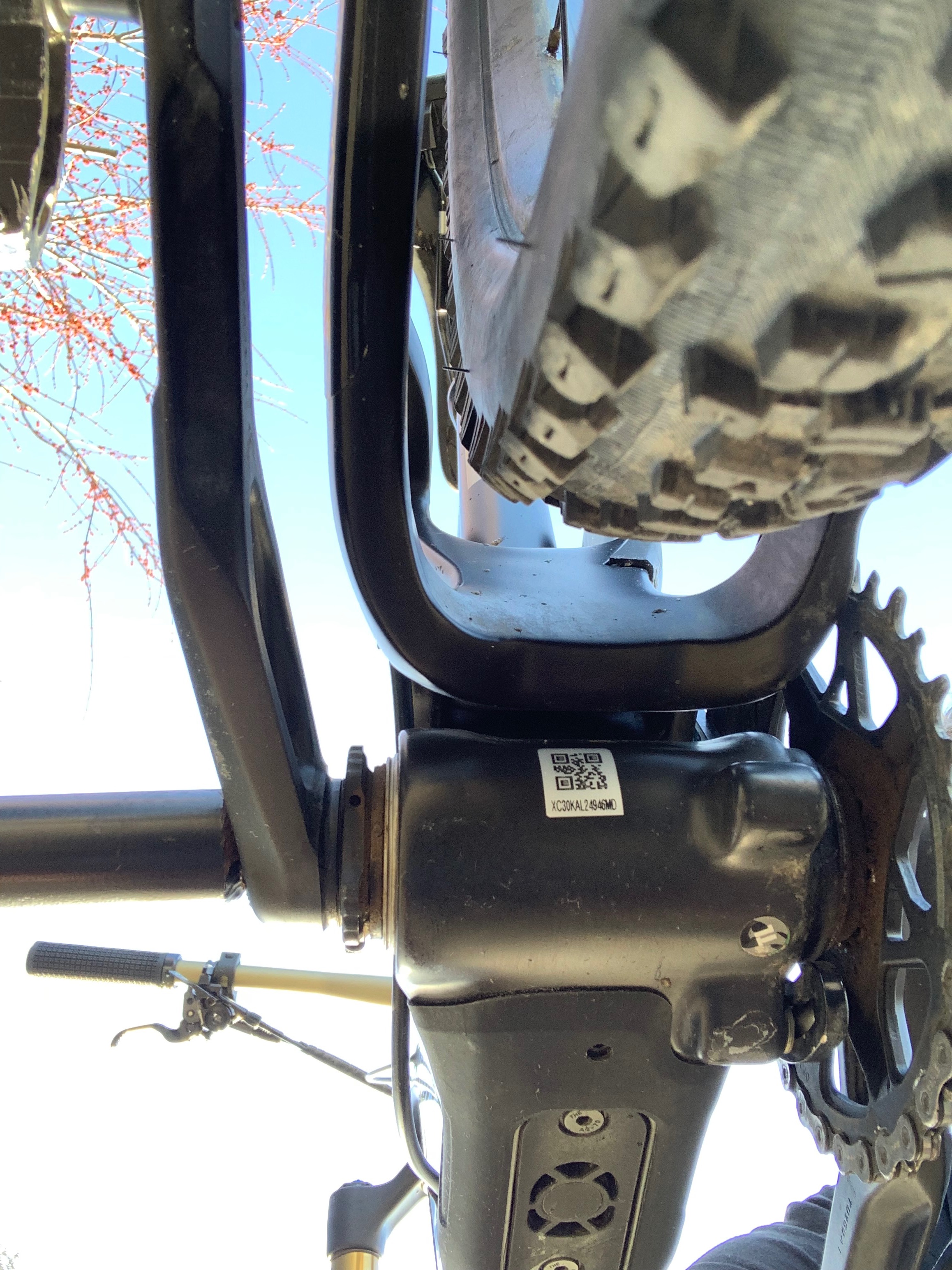 Pivot Switchblade Pro XT/XTR 2024