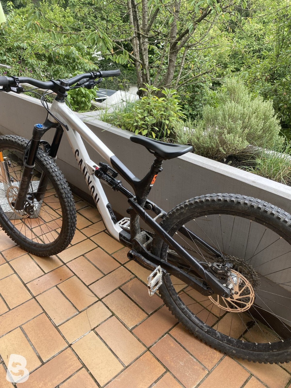 Canyon Spectral AL 6.0 2022