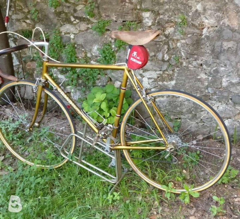 Grandis Campione Del Mondo 1970