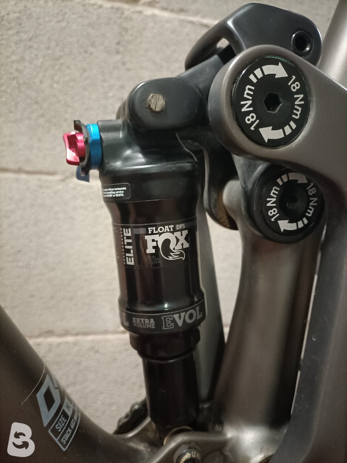 Focus O1E 8.8 2022