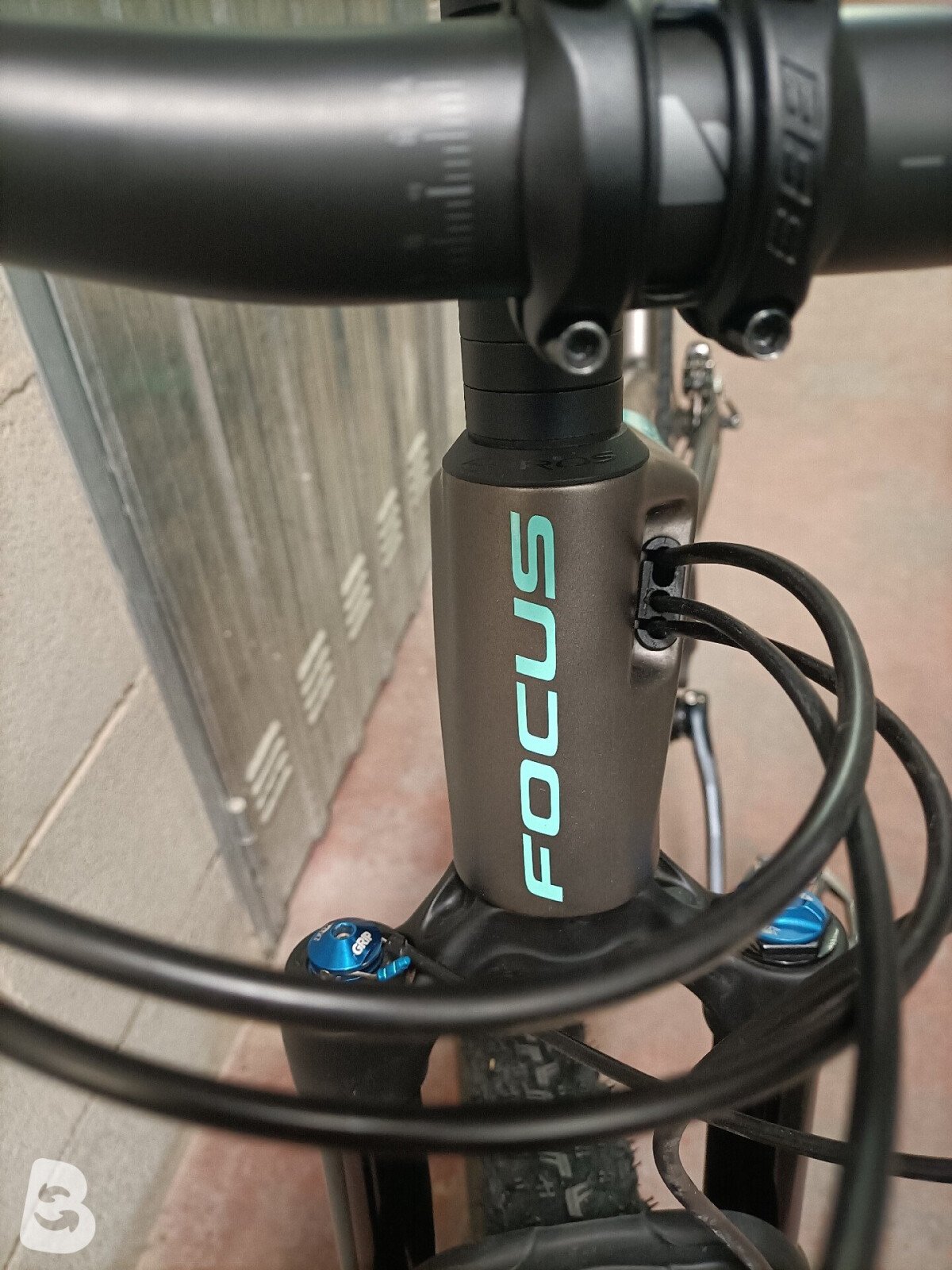Focus O1E 8.8 2022