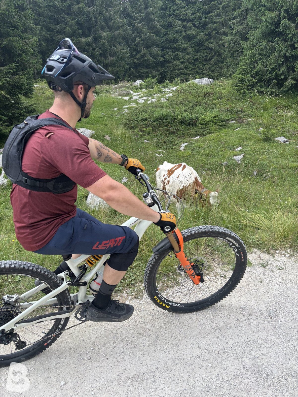 Specialized Stumpjumper EVO Expert 2024