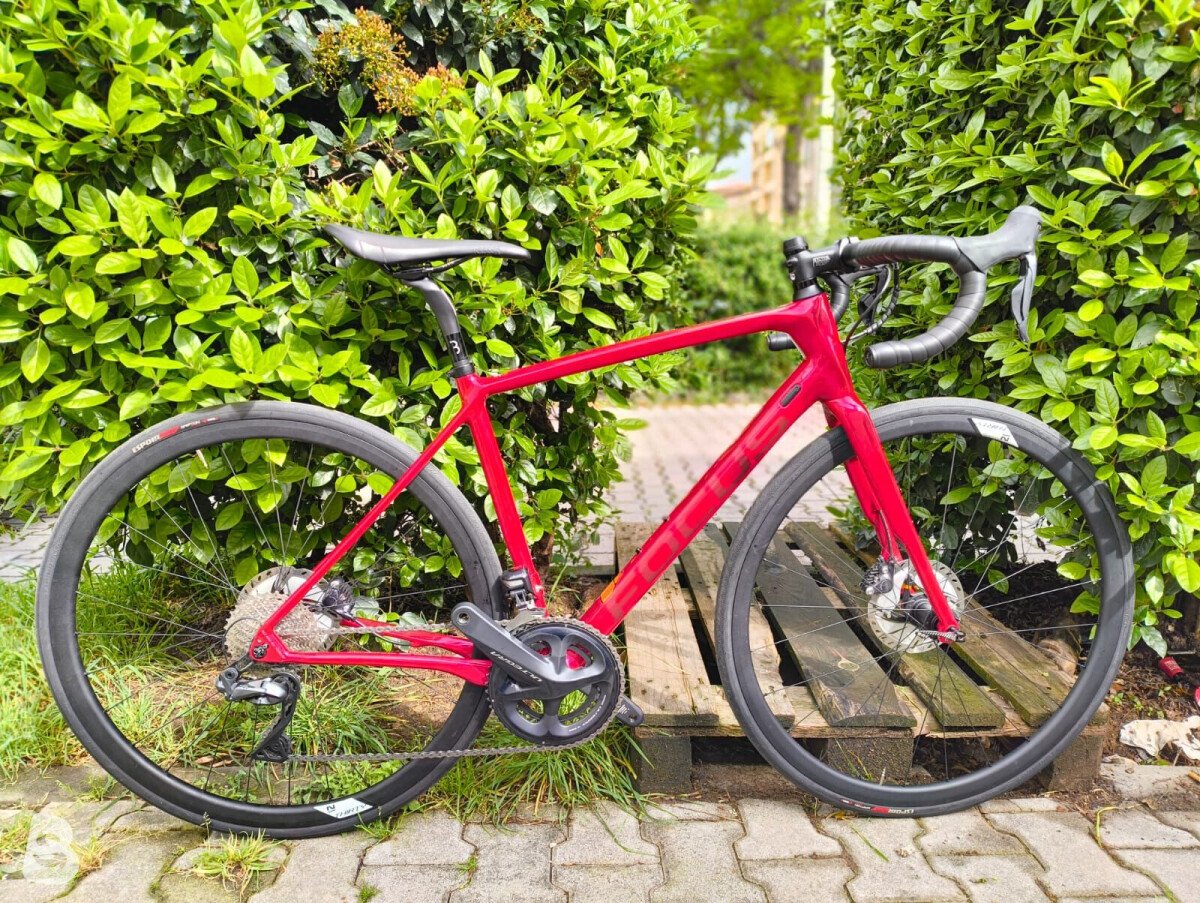 Focus Paralane 9.8 2020