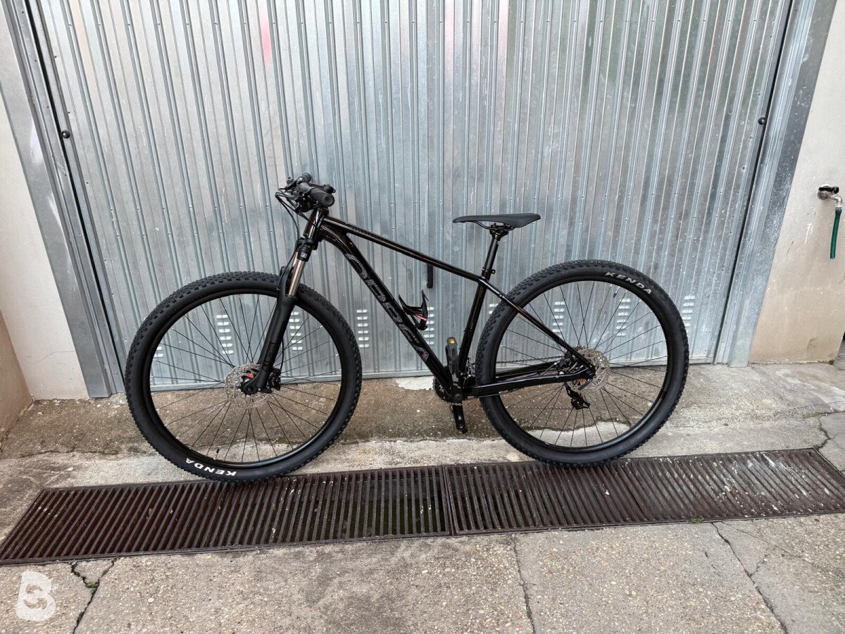 Orbea onna 50 2024