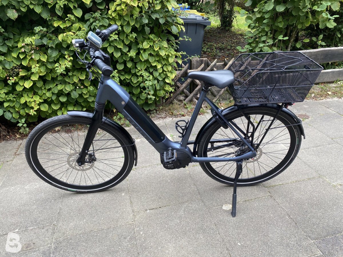 Gazelle Ultimate C8+ HMB Belt 2022