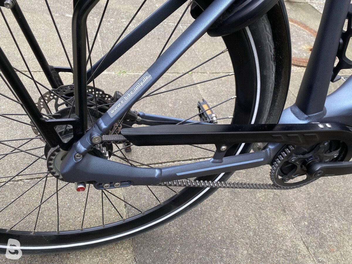 Gazelle Ultimate C8+ HMB Belt 2022