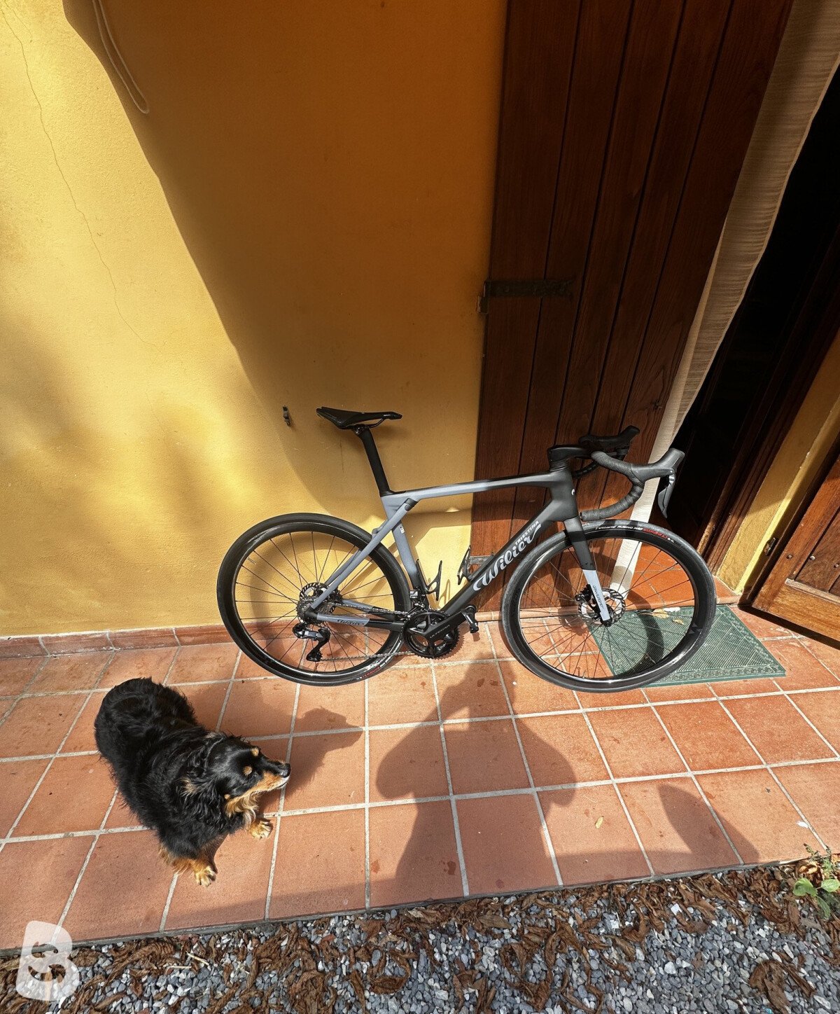 Wilier Granturismo Slr 2024
