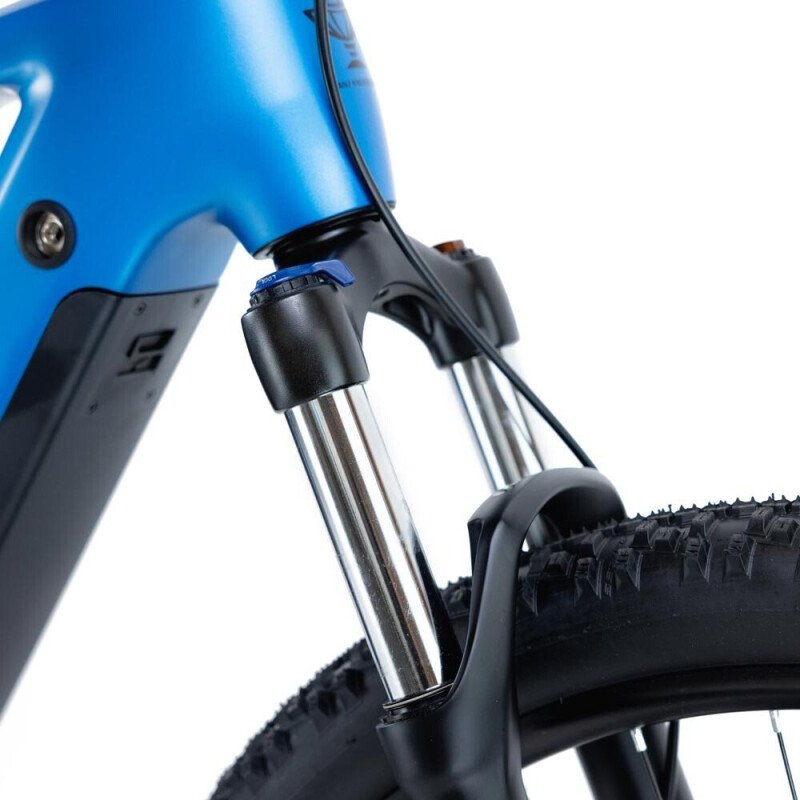 Franz Kneissl CX04 2024