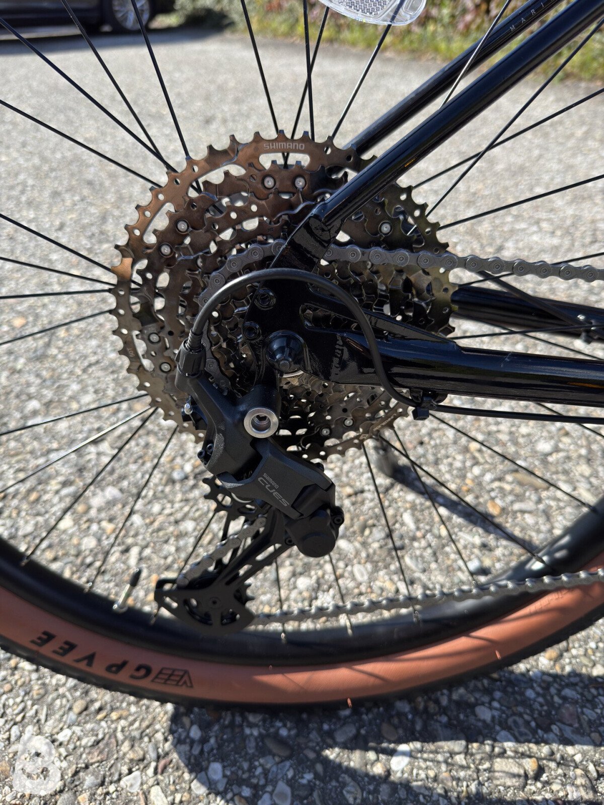 Marin larkspur 2 2025
