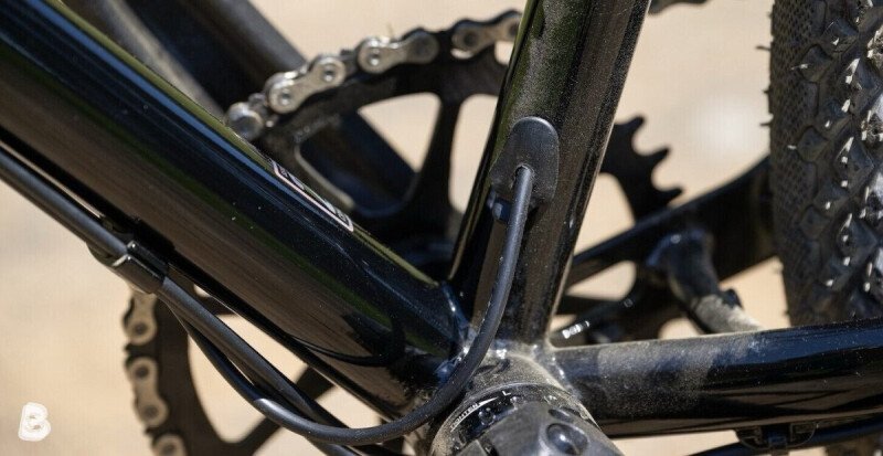 Marin larkspur 2 2025