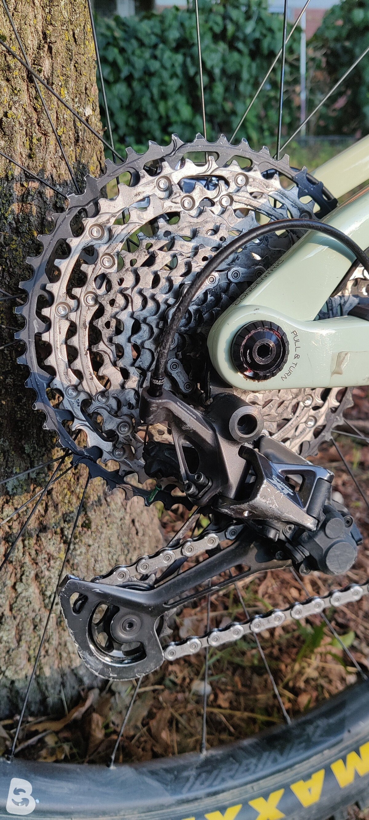 Orbea Rise M10 2021