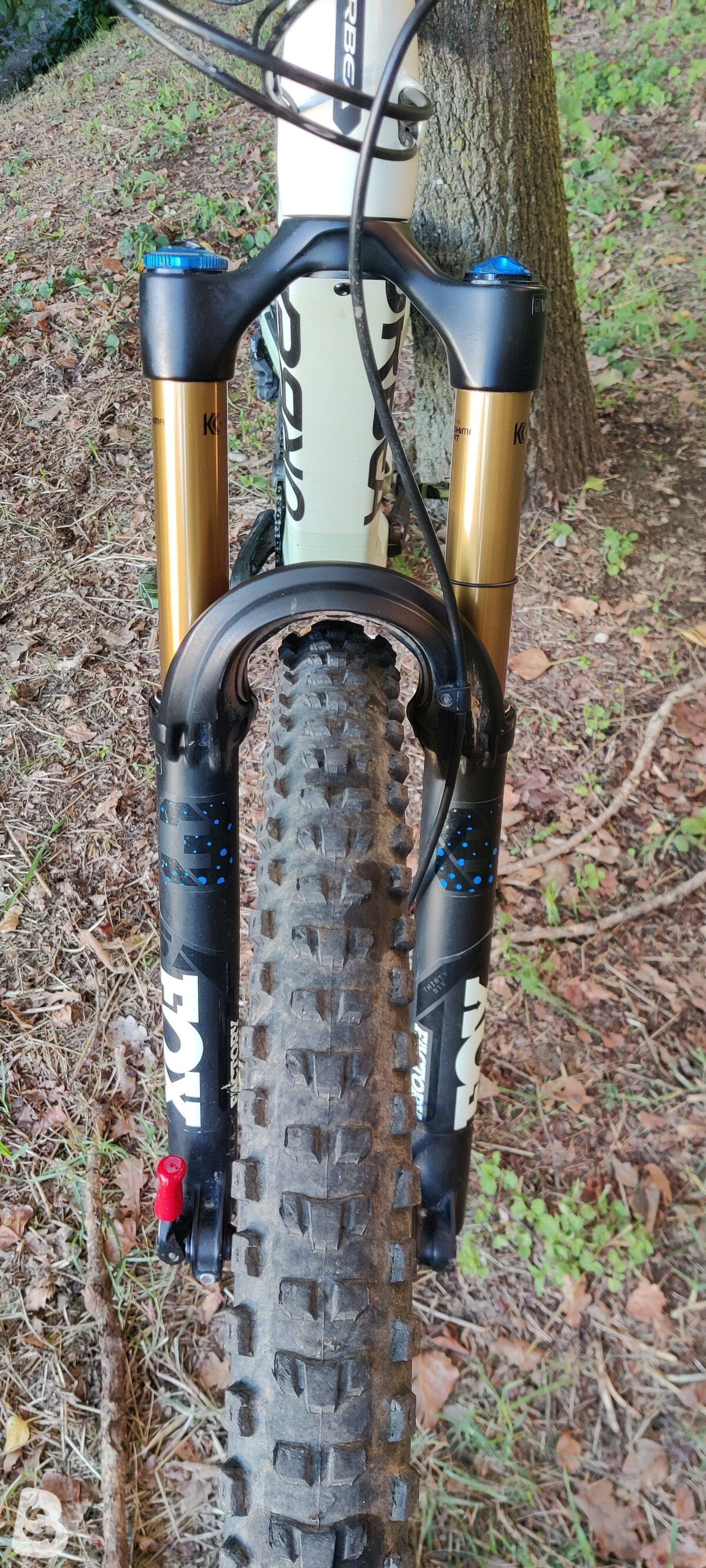 Orbea Rise M10 2021