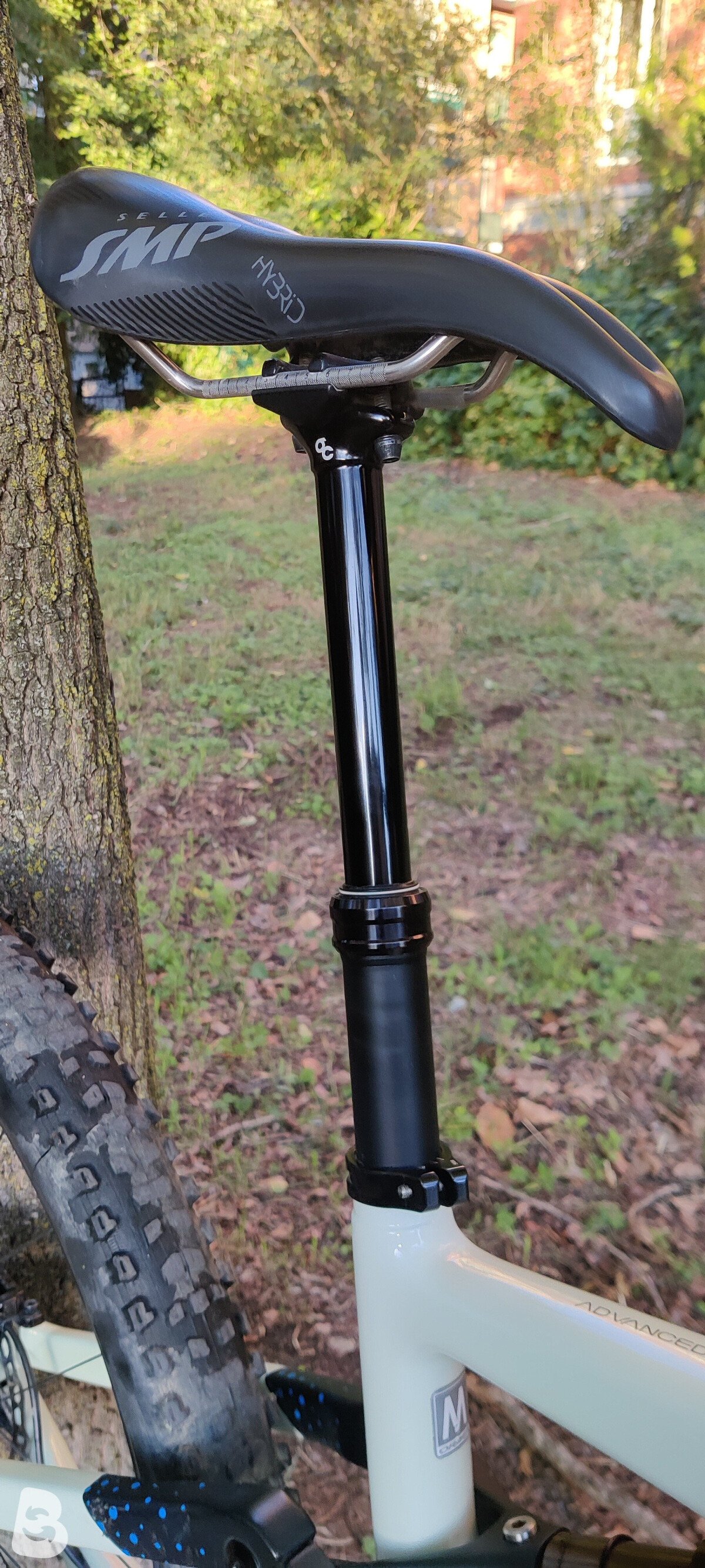 Orbea Rise M10 2021