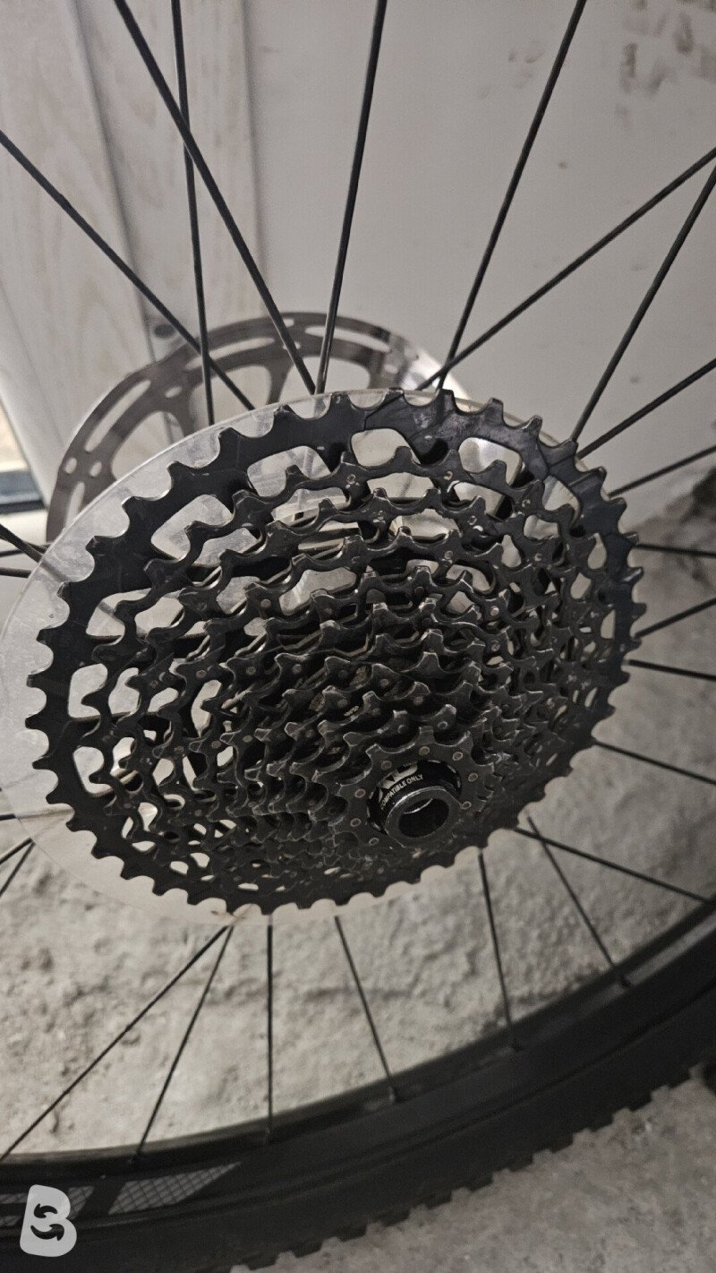 Specialized Stumpjumper