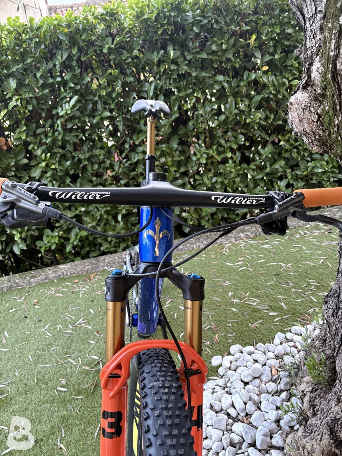 Wilier Urta Max 2025