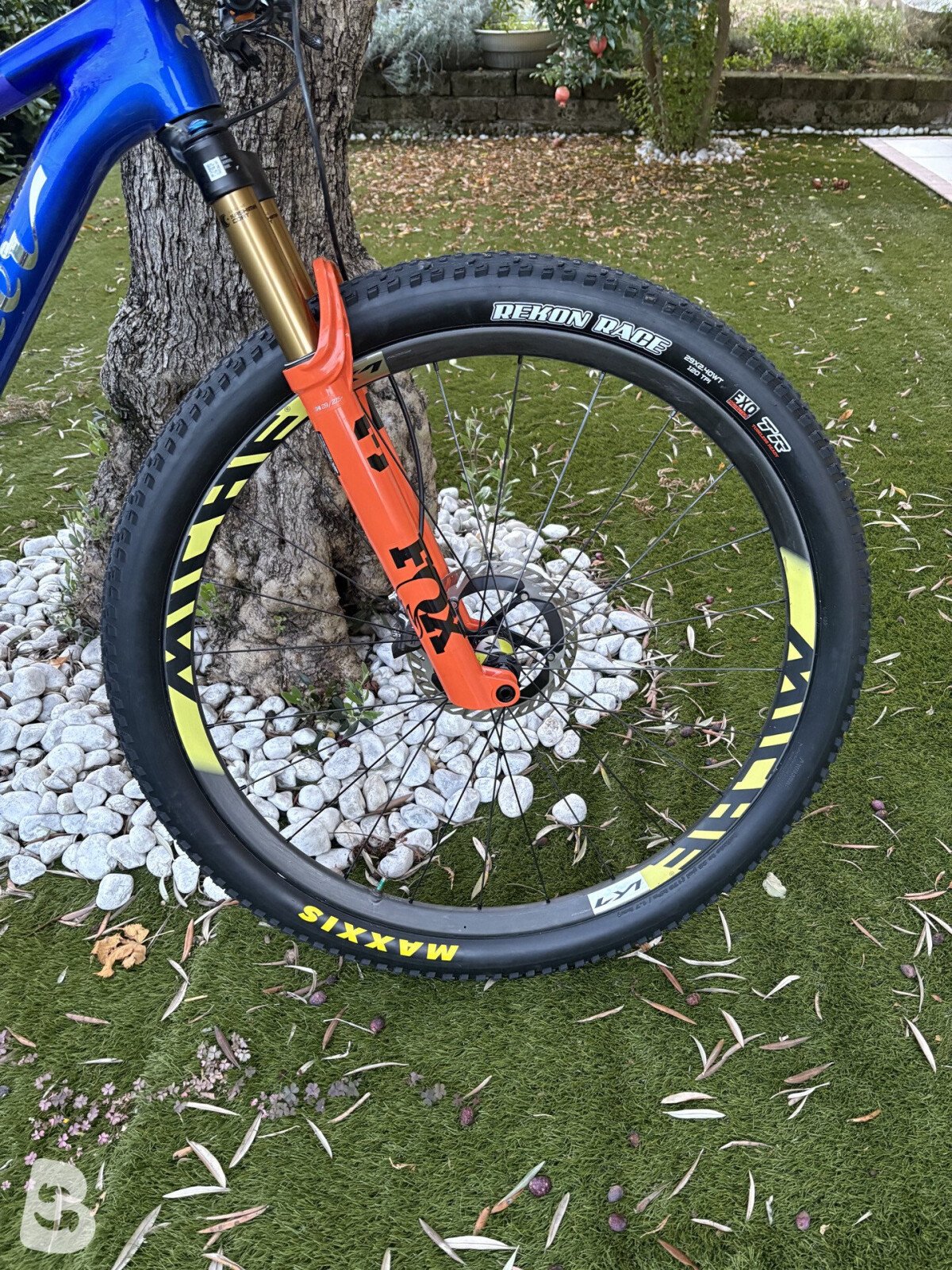 Wilier Urta Max 2025