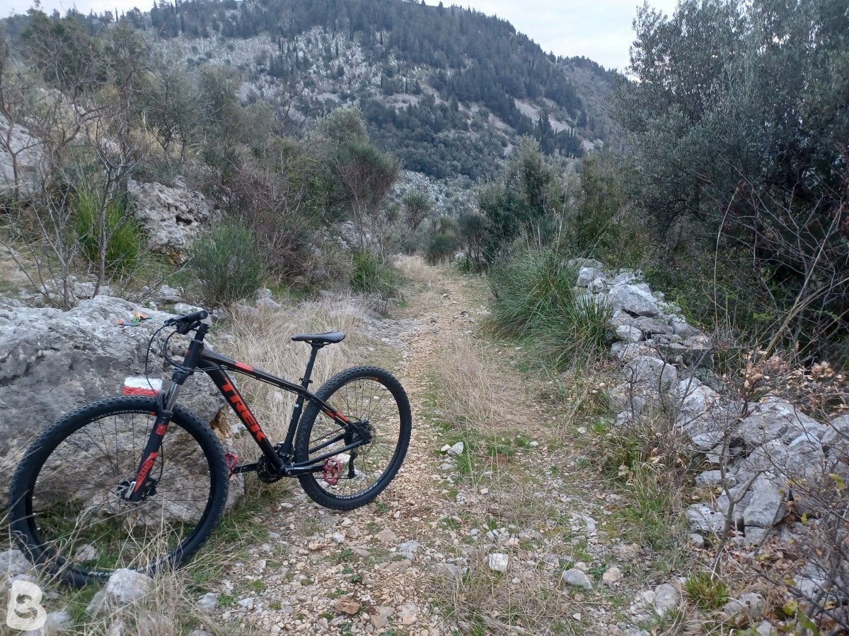 Trek Marlin 7 2017