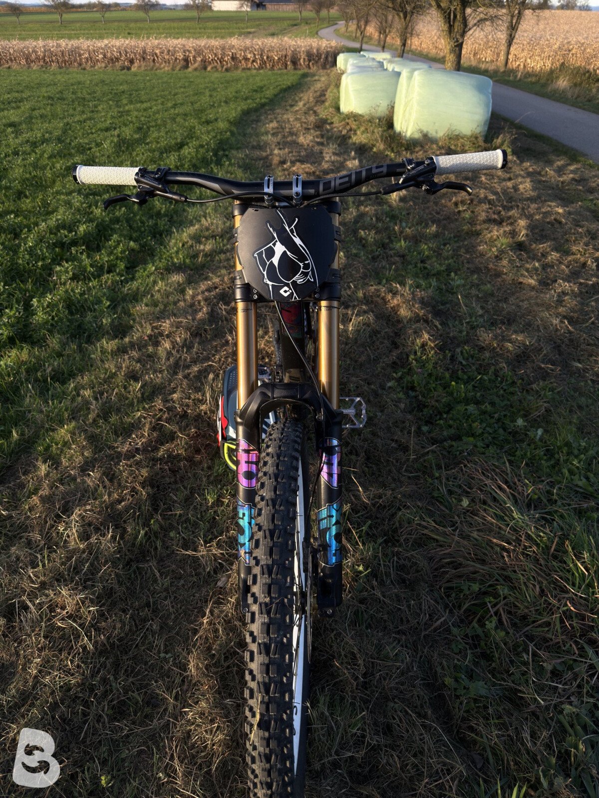 Propain Rage CF High End Custom 2019