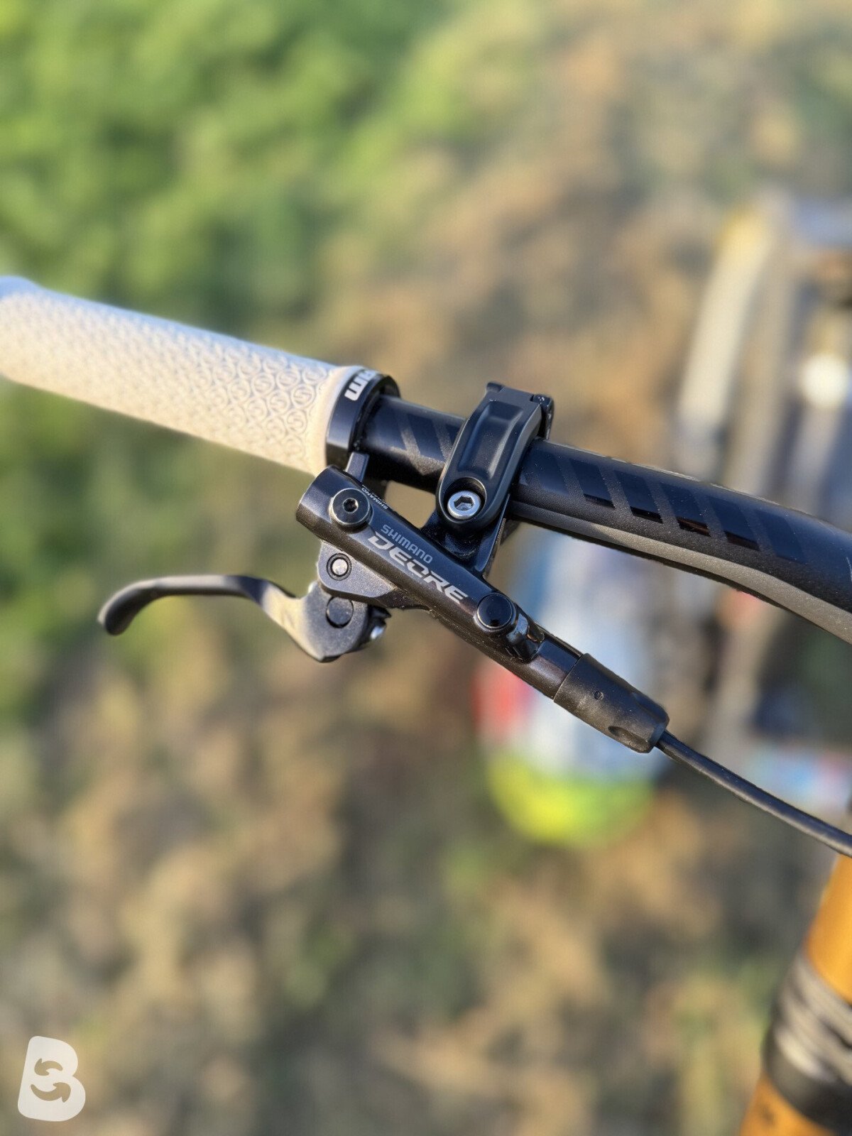 Propain Rage CF High End Custom 2019