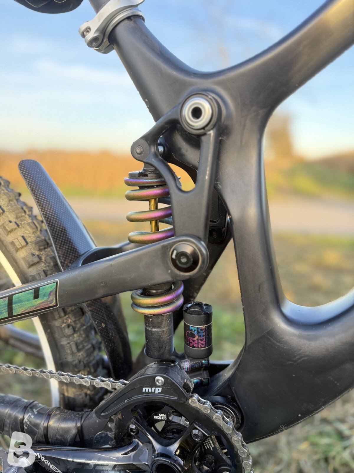 Propain Rage CF High End Custom 2019