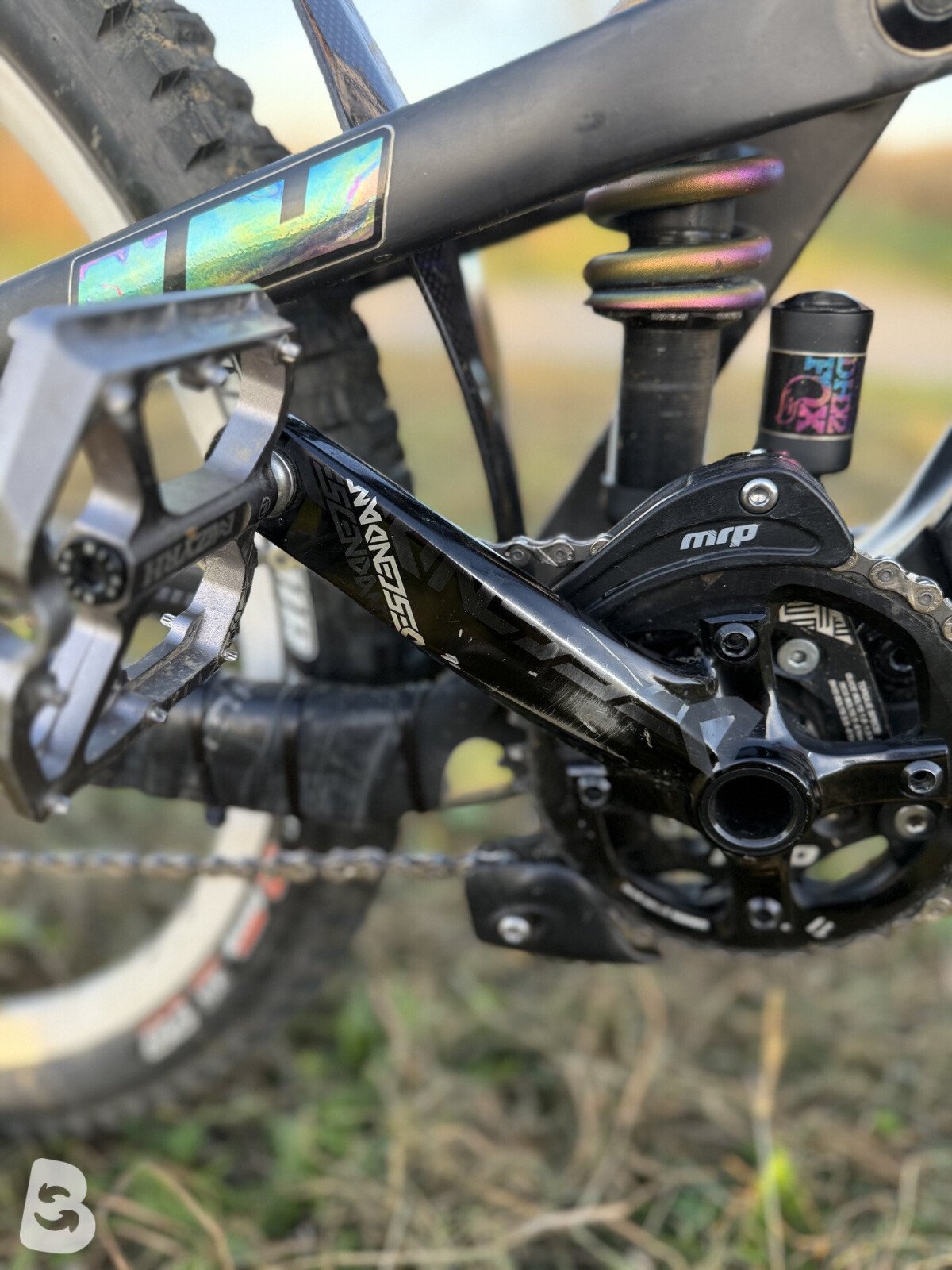 Propain Rage CF High End Custom 2019
