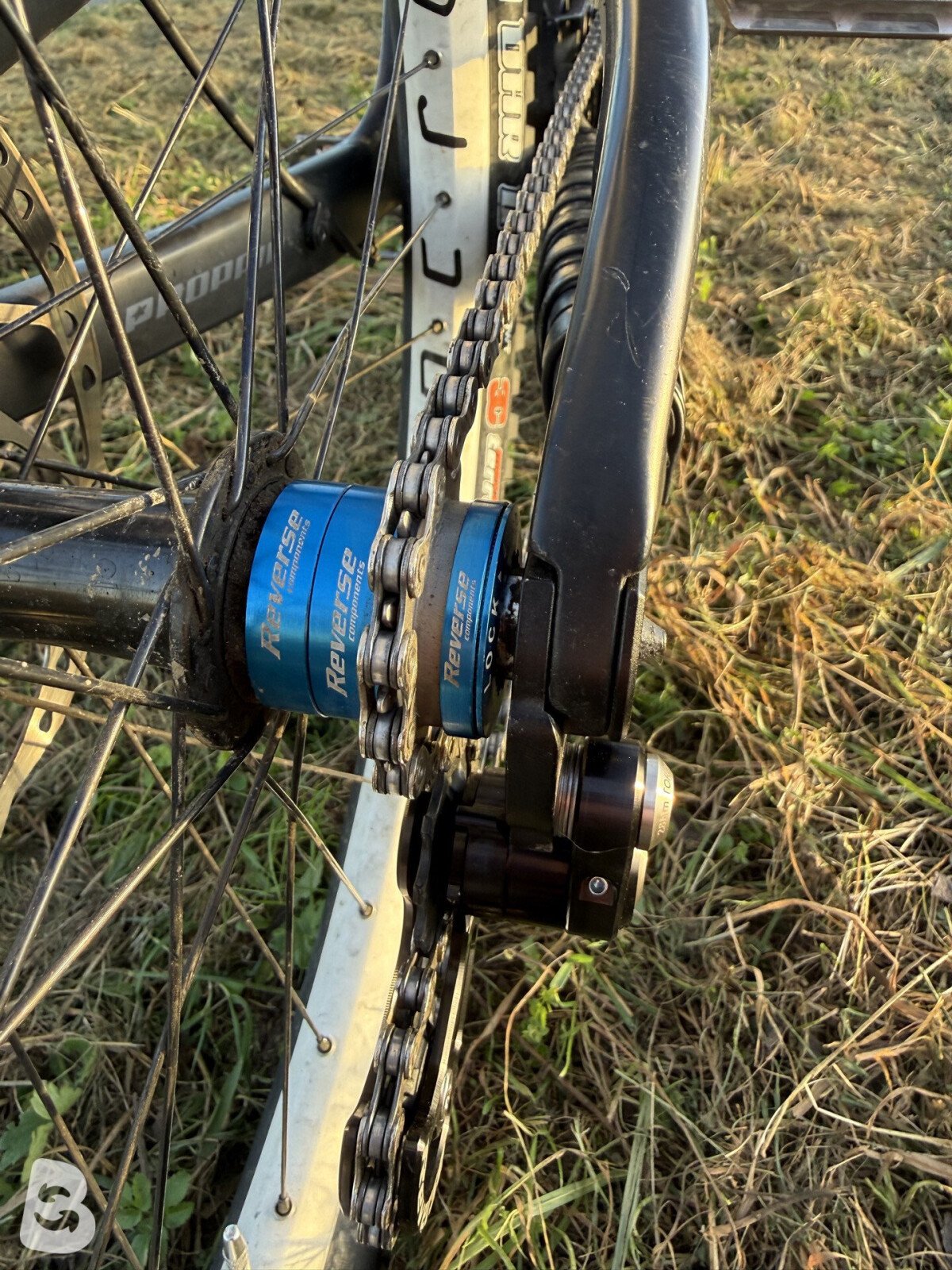 Propain Rage CF High End Custom 2019