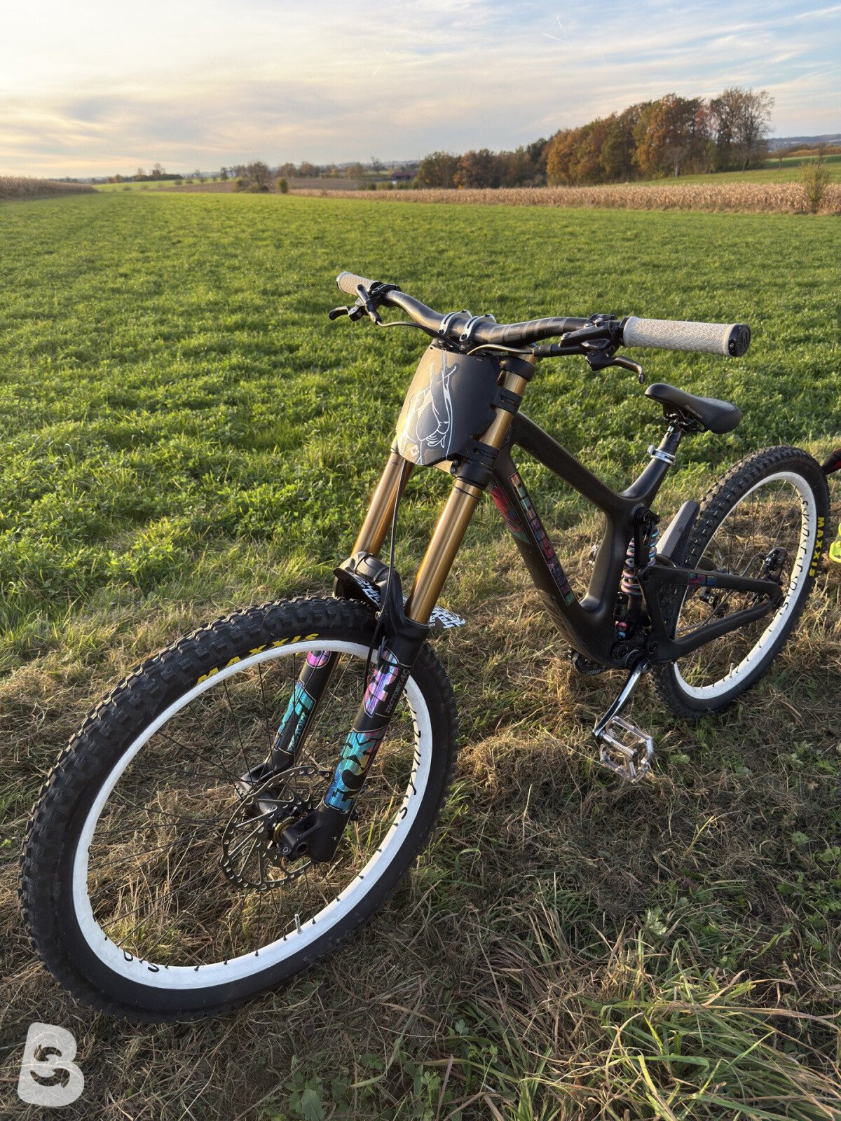 Propain Rage CF High End Custom 2019