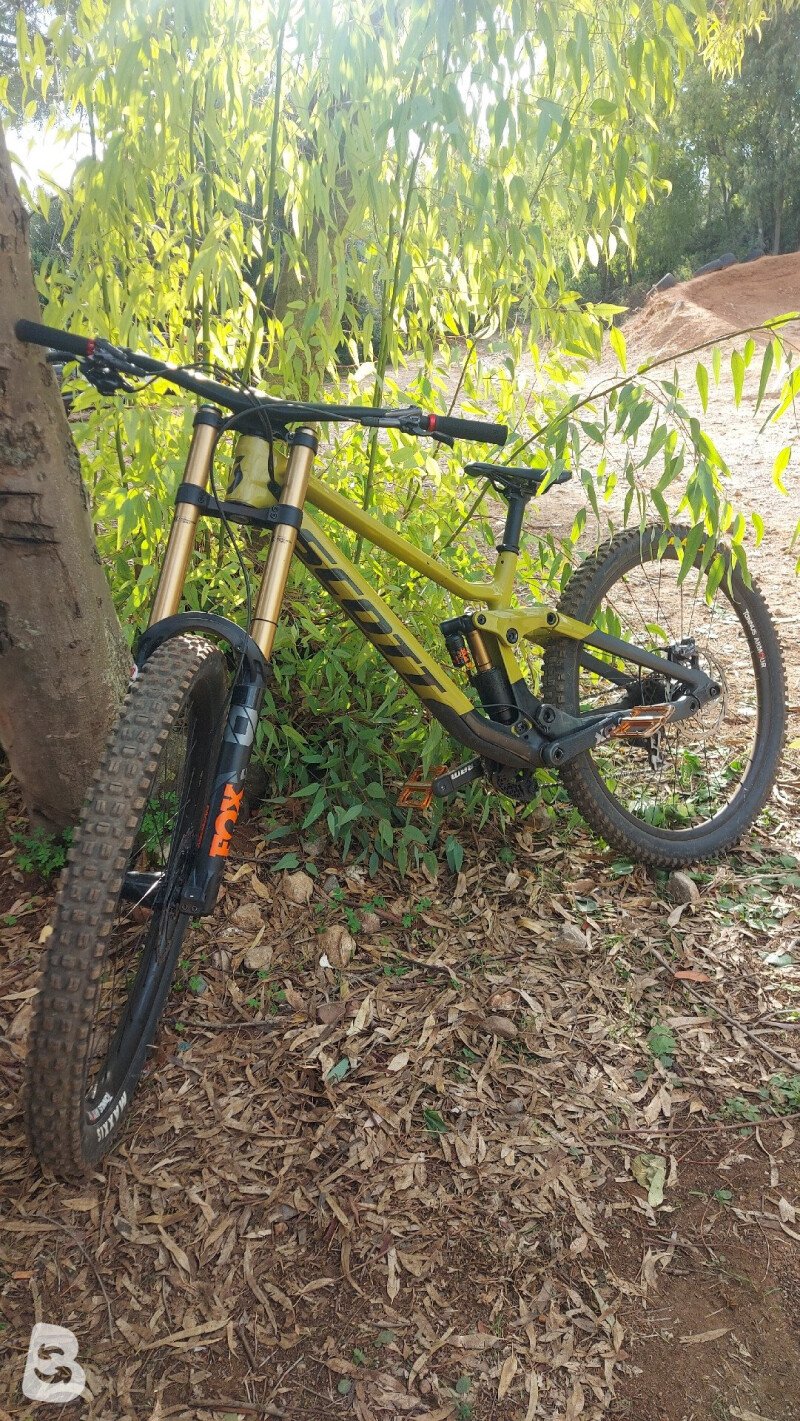 Scott Gambler Tuned 900 2023