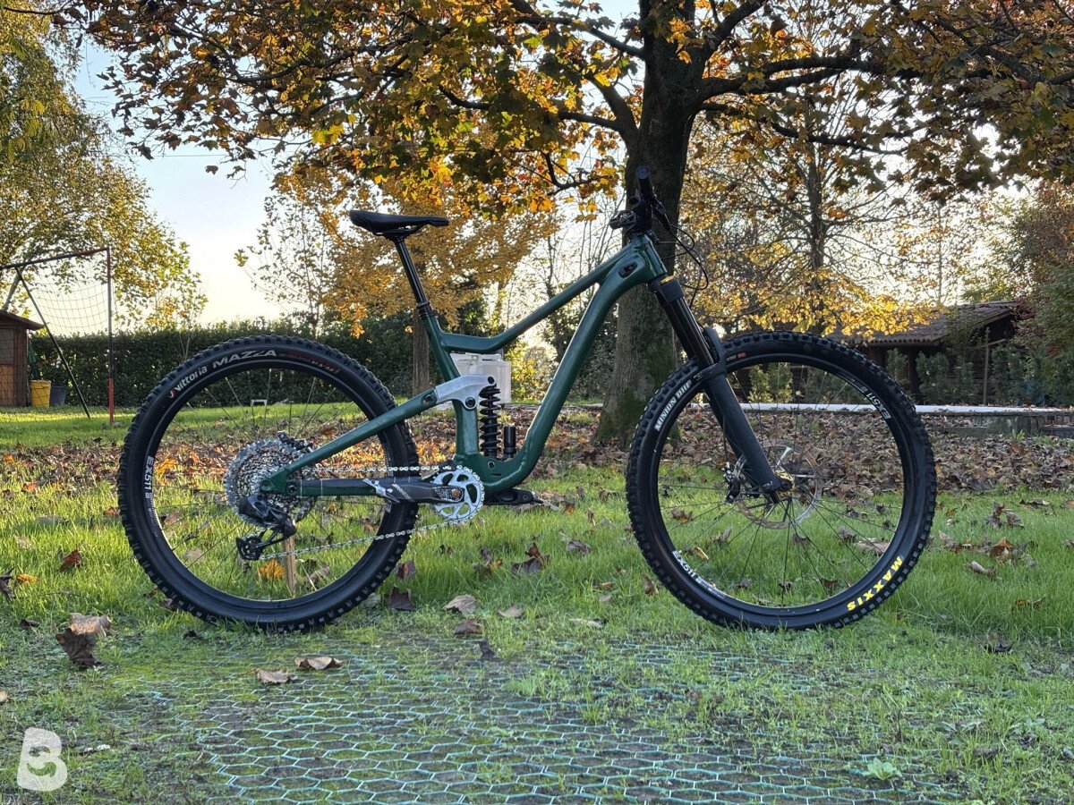 Scott ransom custom 2022